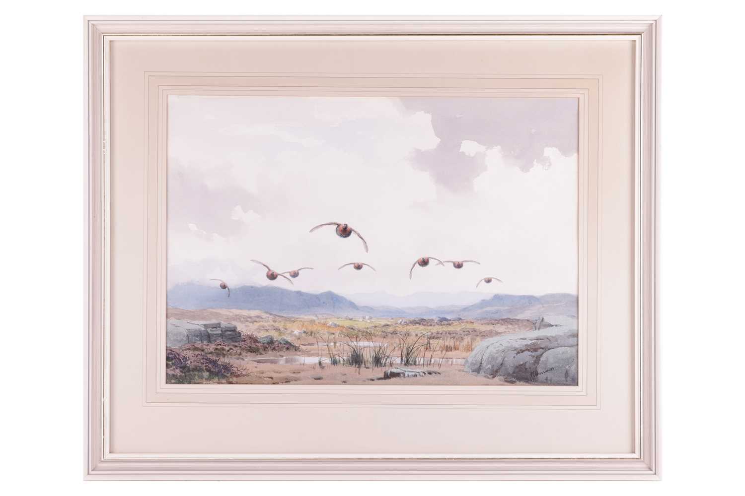 John Cyril Harrison (1898-1985), Red Grouse flying over marshlands, signed 'J. C. Harrison' (lower r