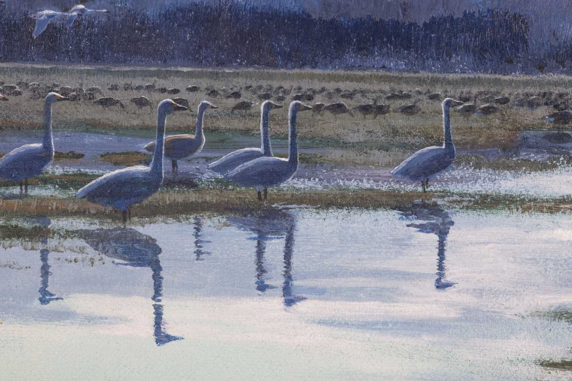 Peter Scott (1909 - 1989), Whooper swans over Marshes, signed and dated 'Peter Scott 1969' (lower ri - Bild 8 aus 10