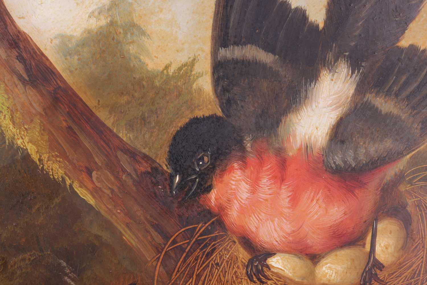 Michelangelo Meucci (Italian, 1840 - 1909), Nesting Bullfinches, signed 'M. Meucci' (lower left), in - Image 3 of 4
