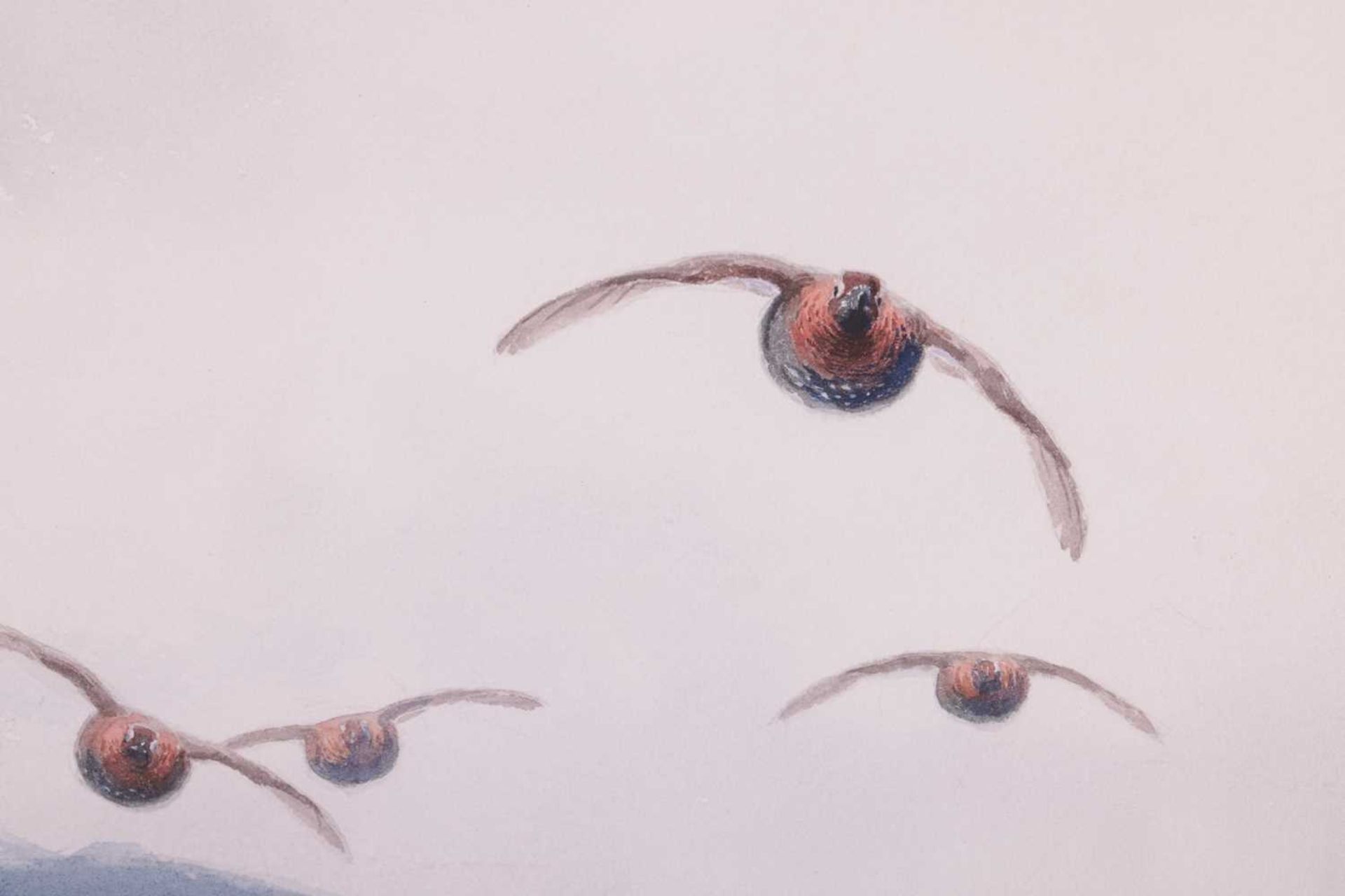 John Cyril Harrison (1898-1985), Red Grouse flying over marshlands, signed 'J. C. Harrison' (lower r - Bild 4 aus 9