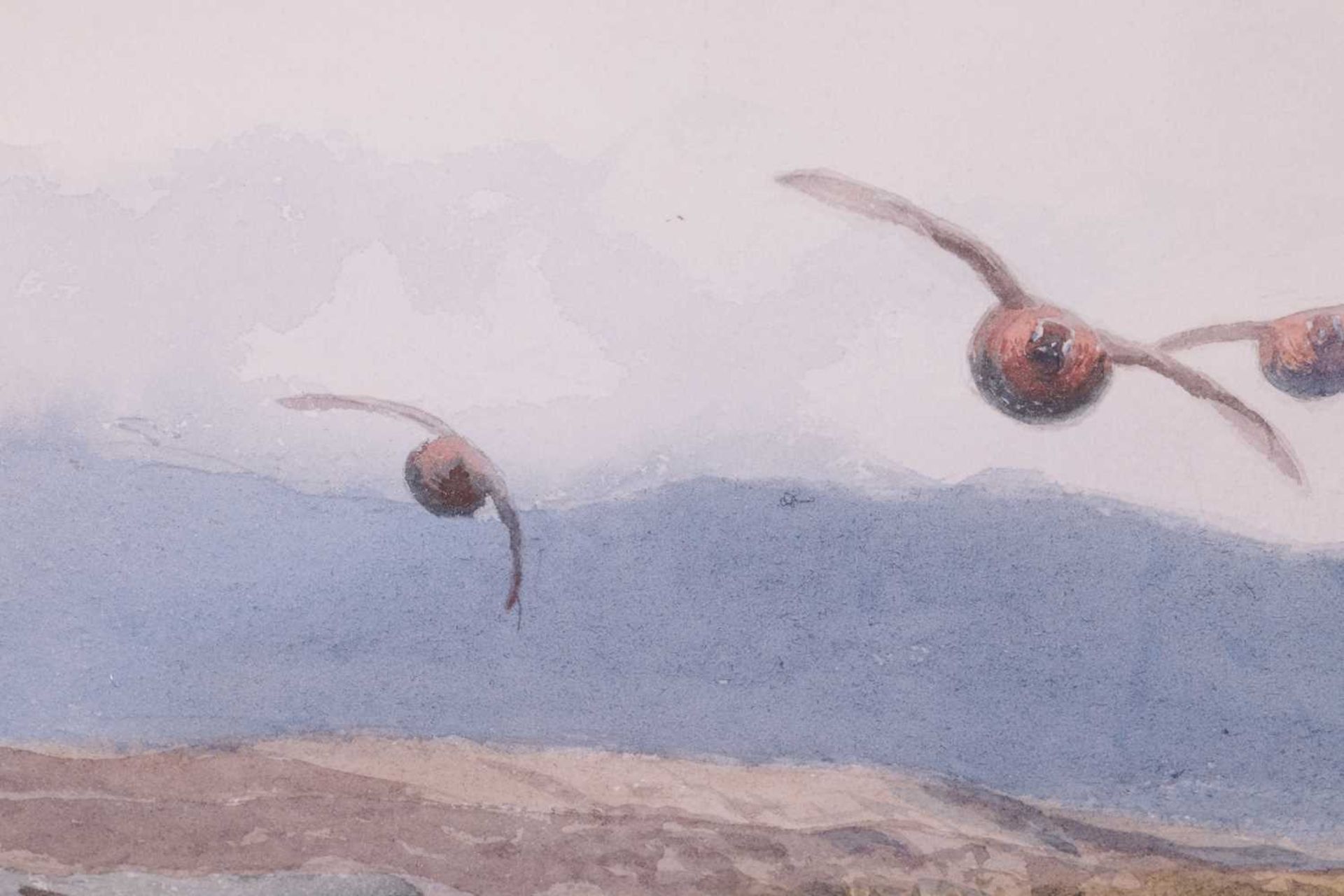 John Cyril Harrison (1898-1985), Red Grouse flying over marshlands, signed 'J. C. Harrison' (lower r - Bild 5 aus 9