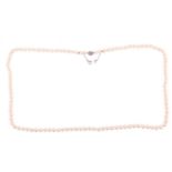 An opera-length cultured pearl necklace, the pearls of cream body with pink overtones and measuring 
