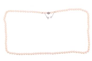 An opera-length cultured pearl necklace, the pearls of cream body with pink overtones and