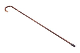 A gold mounted palm wood walking stick, the tip of the handle and the band mount both with hallmarks