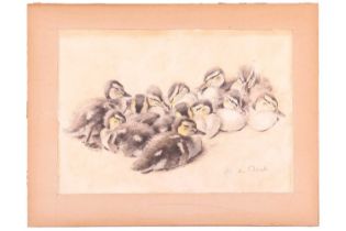 Xavier de Poret (French, 1894 - 1975), A group of nestling ducklings, signed 'X de Poret' (lower