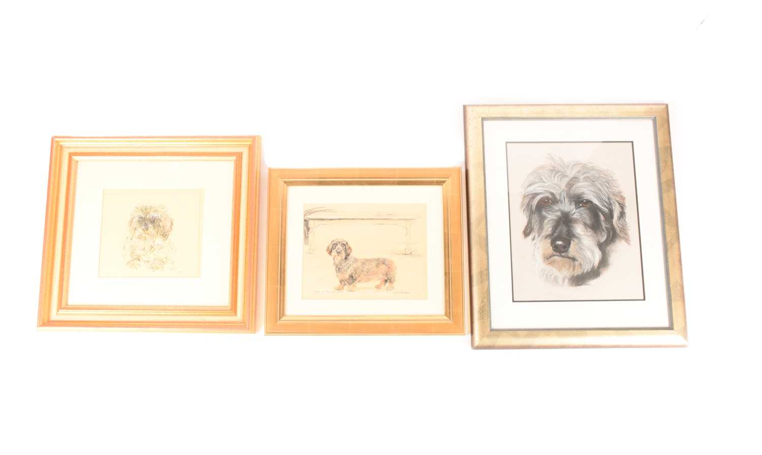 A collection of three drawings and a print conveying various studies of dogs, all framed and glazed,