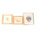 A collection of three drawings and a print conveying various studies of dogs, all framed and glazed,