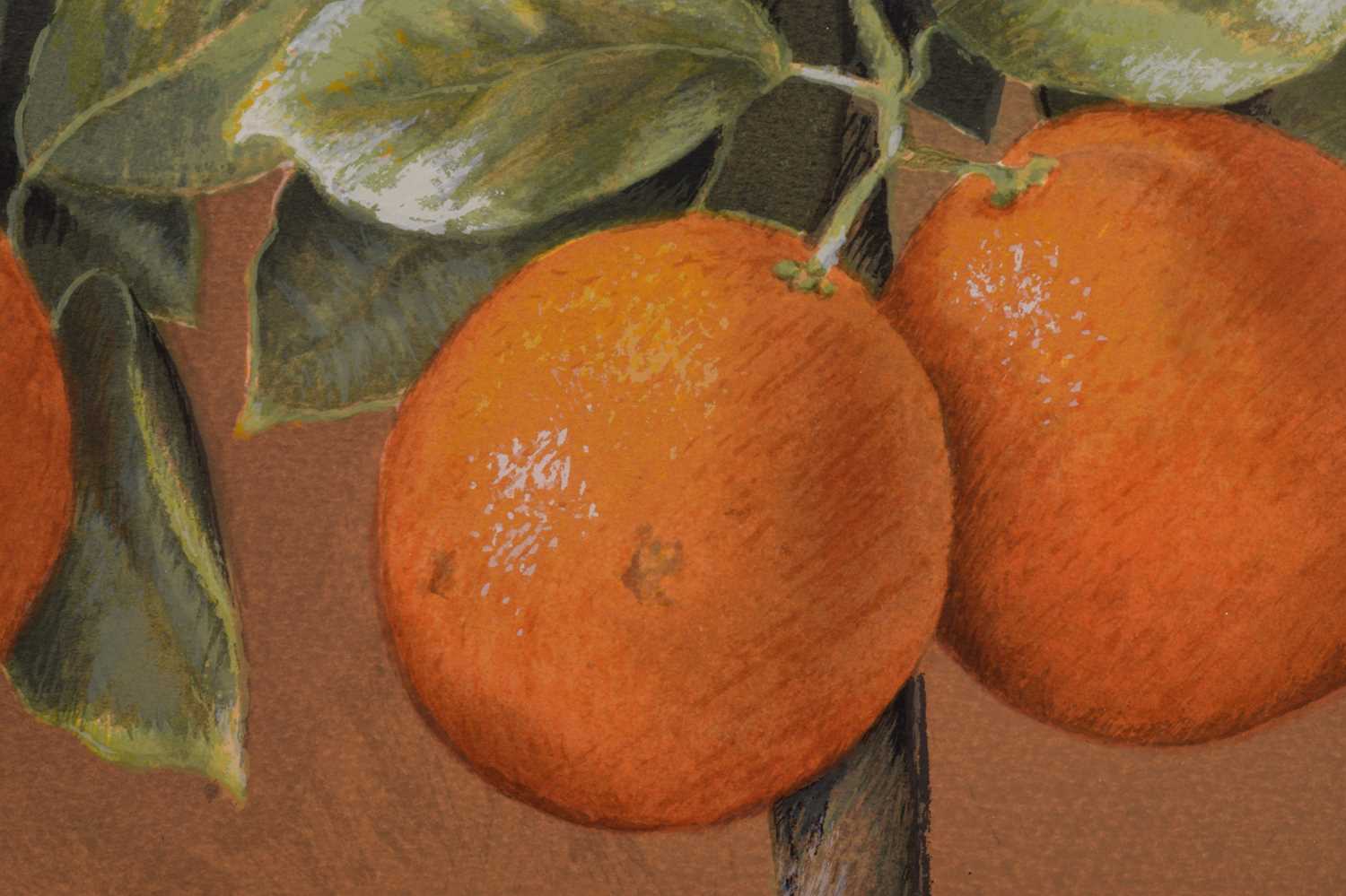 José Escofet (b.1930) Spanish, Lemon and Orange Trees, a pair of limited edition prints, signed and  - Image 15 of 20