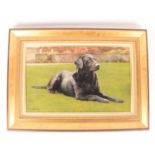 Sue Casson (Mid-Late 20th Century), Black labrador on the grass, signed and dated 'Sue Casson 1990' 