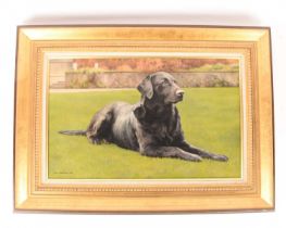 Sue Casson (Mid-Late 20th Century), Black labrador on the grass, signed and dated 'Sue Casson