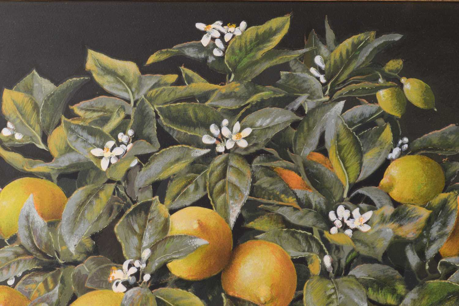 José Escofet (b.1930) Spanish, Lemon and Orange Trees, a pair of limited edition prints, signed and  - Image 5 of 20