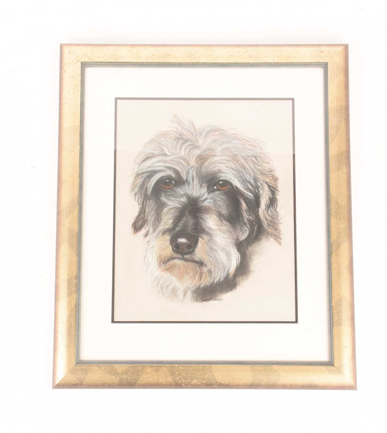 A collection of three drawings and a print conveying various studies of dogs, all framed and glazed, - Image 2 of 6