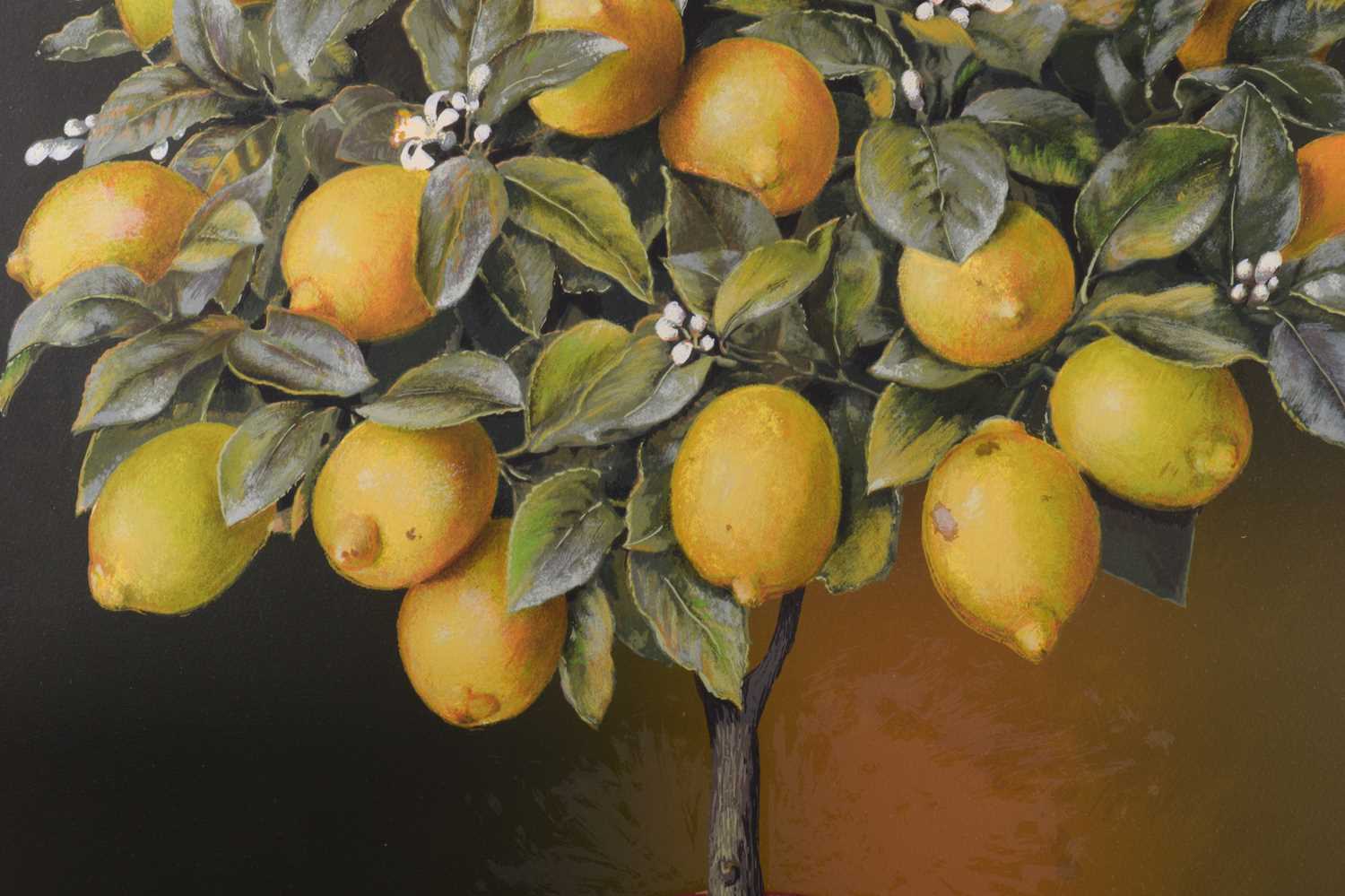 José Escofet (b.1930) Spanish, Lemon and Orange Trees, a pair of limited edition prints, signed and  - Image 18 of 20