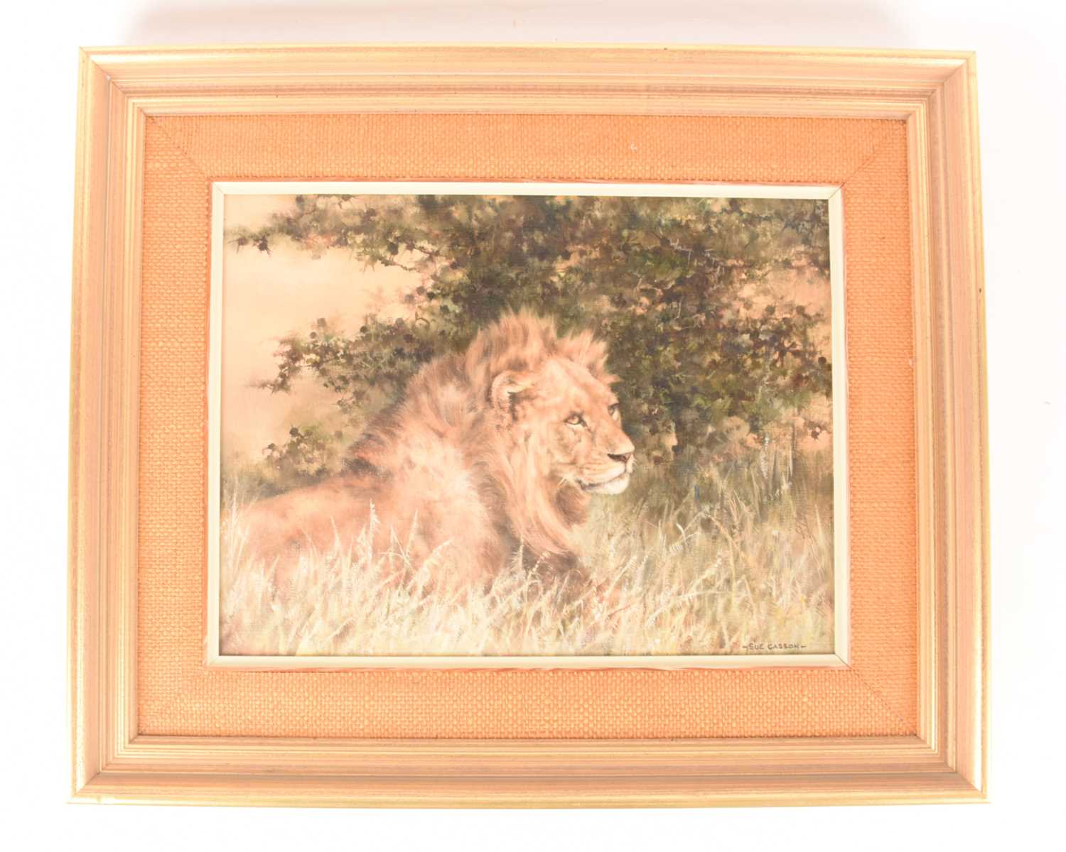 Sue Casson (Mid-Late 20th Century), Lion in grass, signed 'Sue Casson' (lower right), oil on canvas,