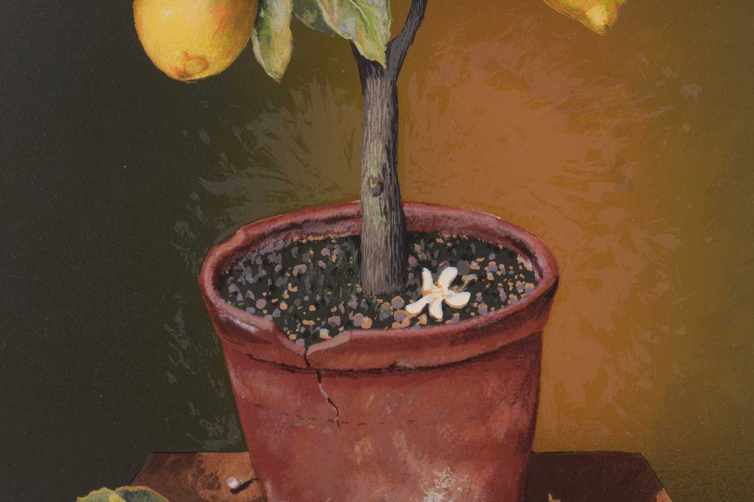 José Escofet (b.1930) Spanish, Lemon and Orange Trees, a pair of limited edition prints, signed and  - Image 20 of 20