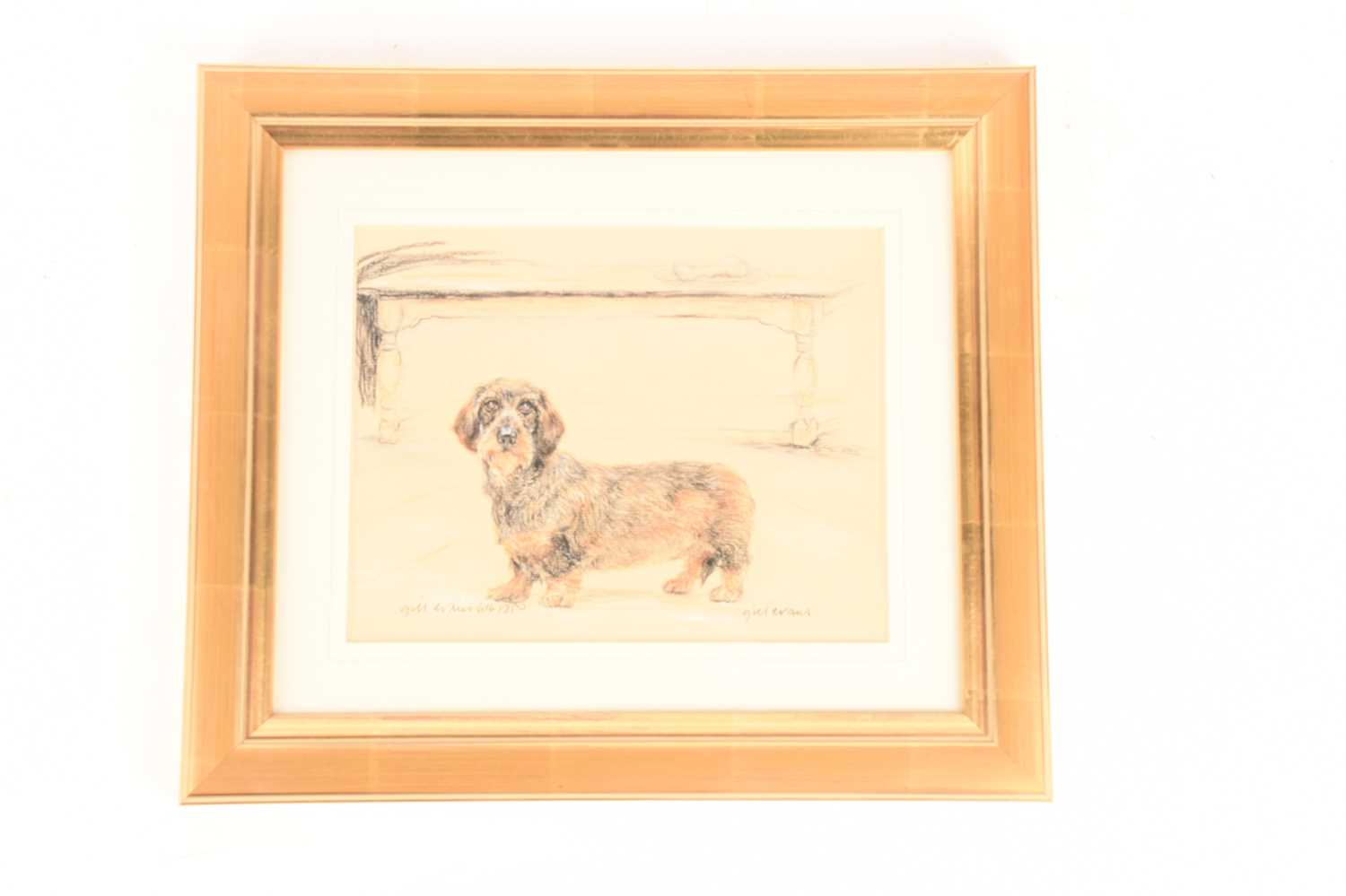 A collection of three drawings and a print conveying various studies of dogs, all framed and glazed, - Image 3 of 6