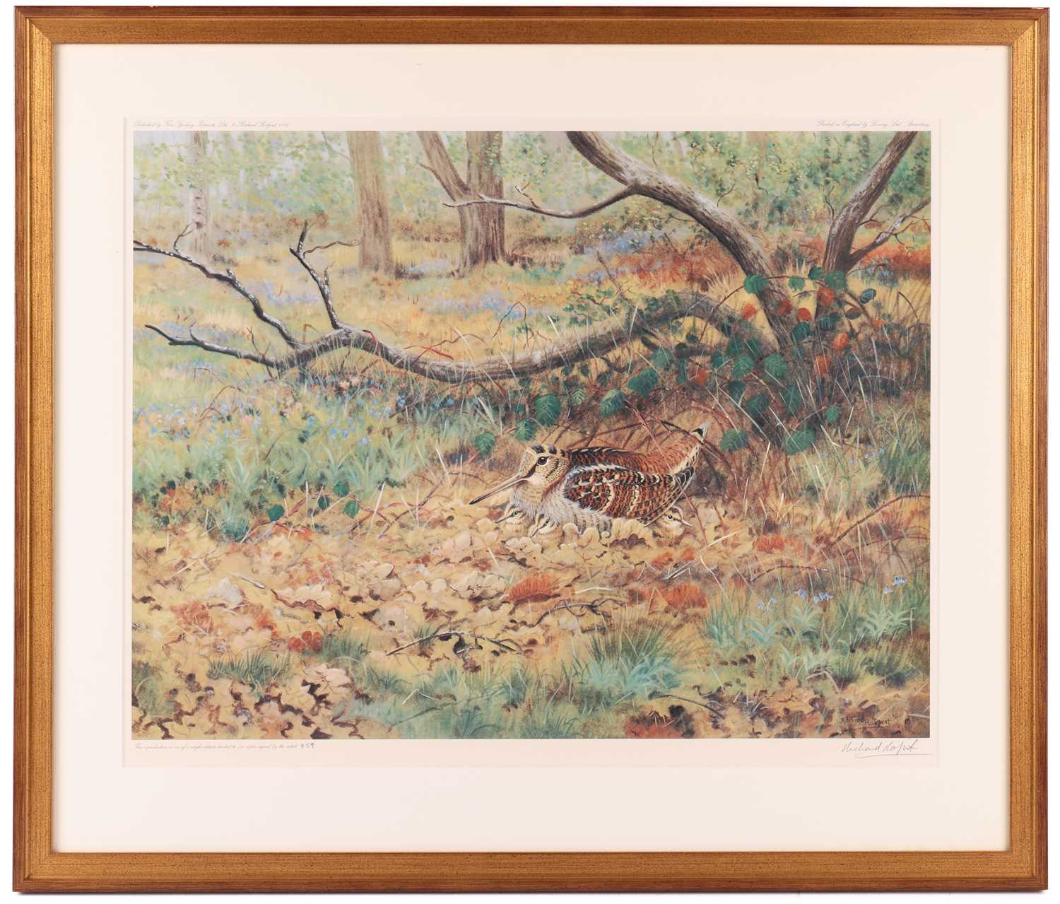 Richard Robjent (b. 1937), Woodcock and chicks, reproduction colour print, signed and numbered in pe - Image 2 of 15