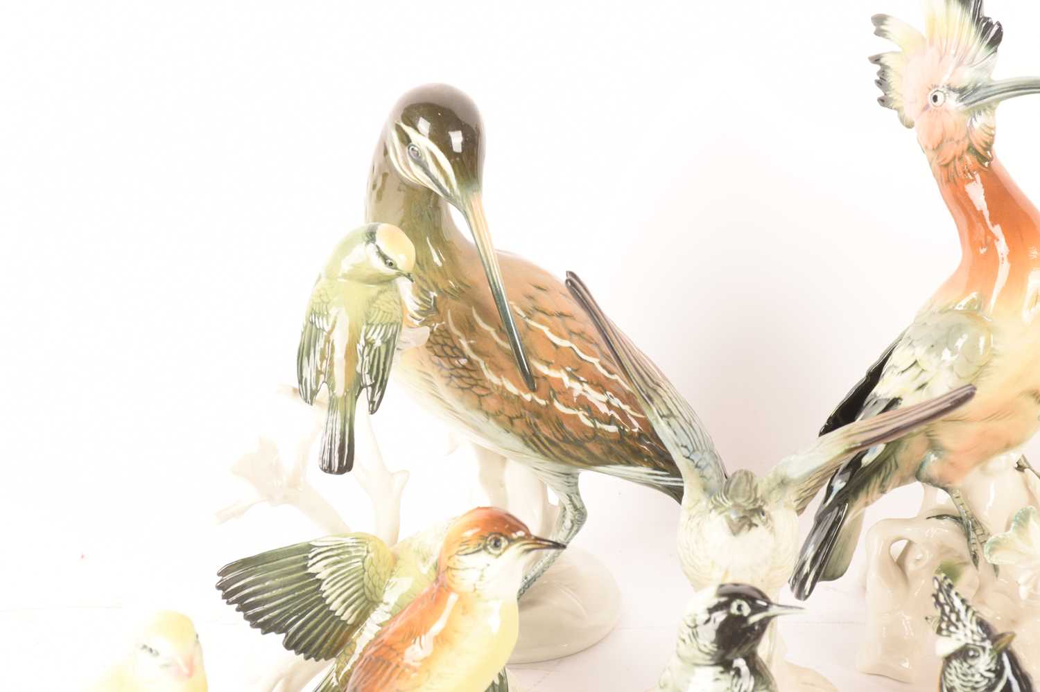 A large collection of mid-century Karl Ens porcelain bird figures comprising a Hoopoe, a pair of Blu - Image 2 of 26