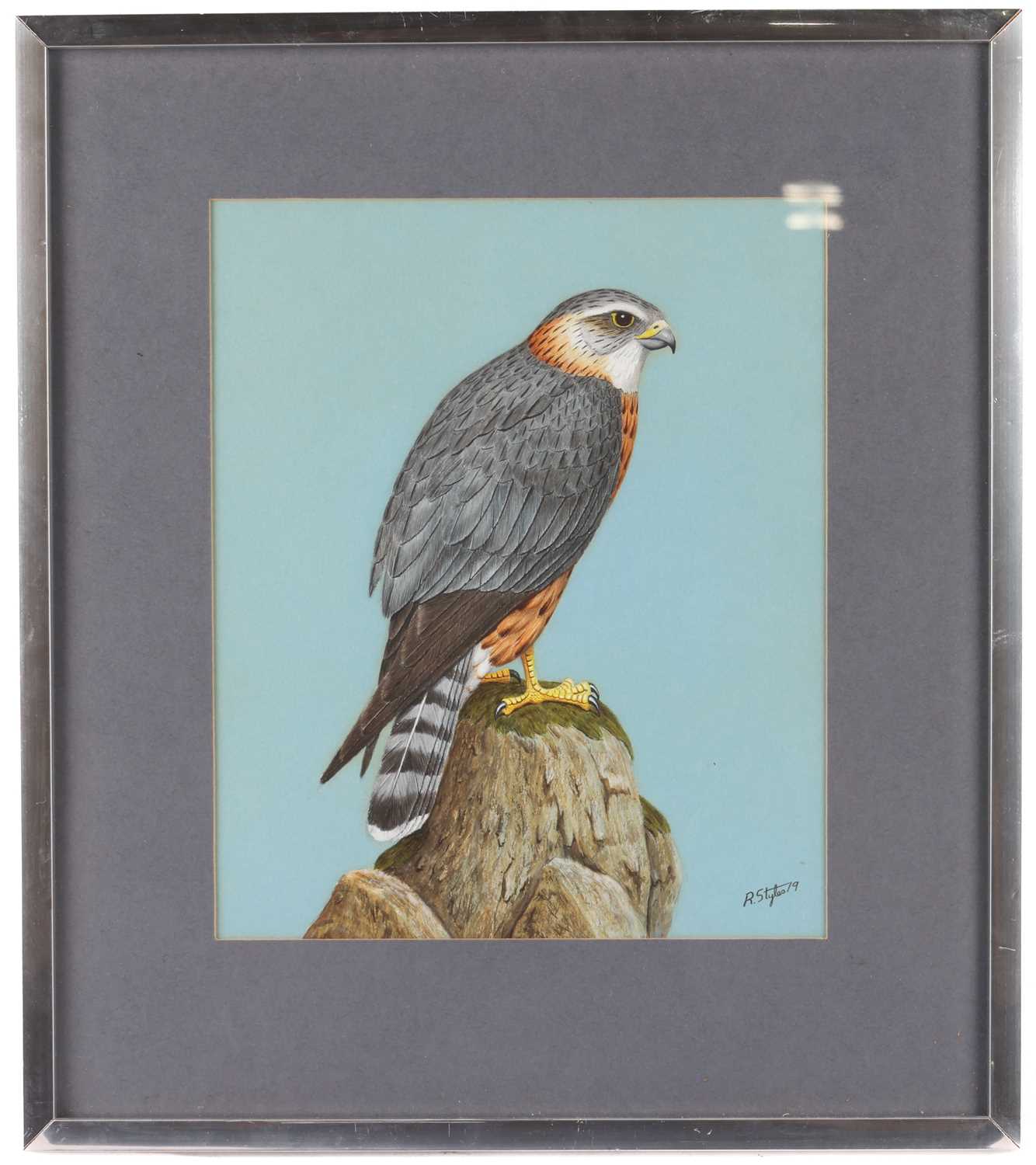 Richard Robjent (b. 1937), Woodcock and chicks, reproduction colour print, signed and numbered in pe - Image 8 of 15