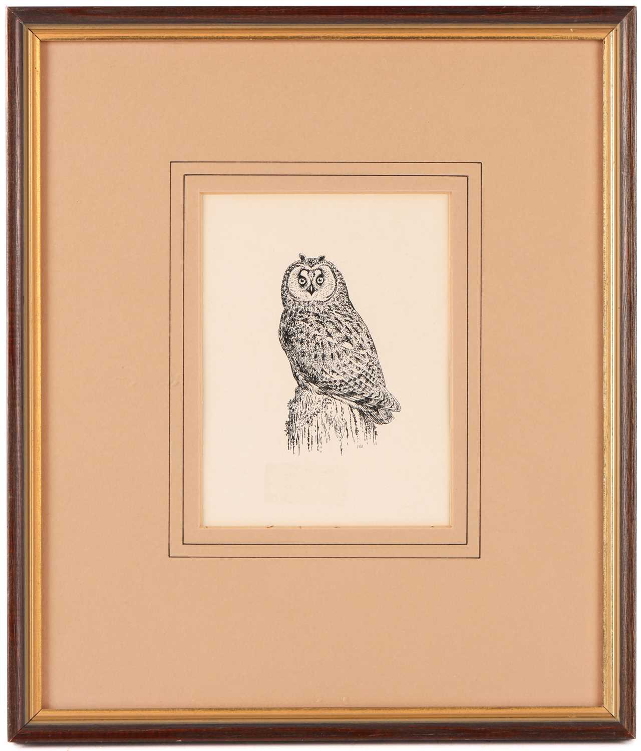 Richard Robjent (b. 1937), Woodcock and chicks, reproduction colour print, signed and numbered in pe - Image 4 of 15