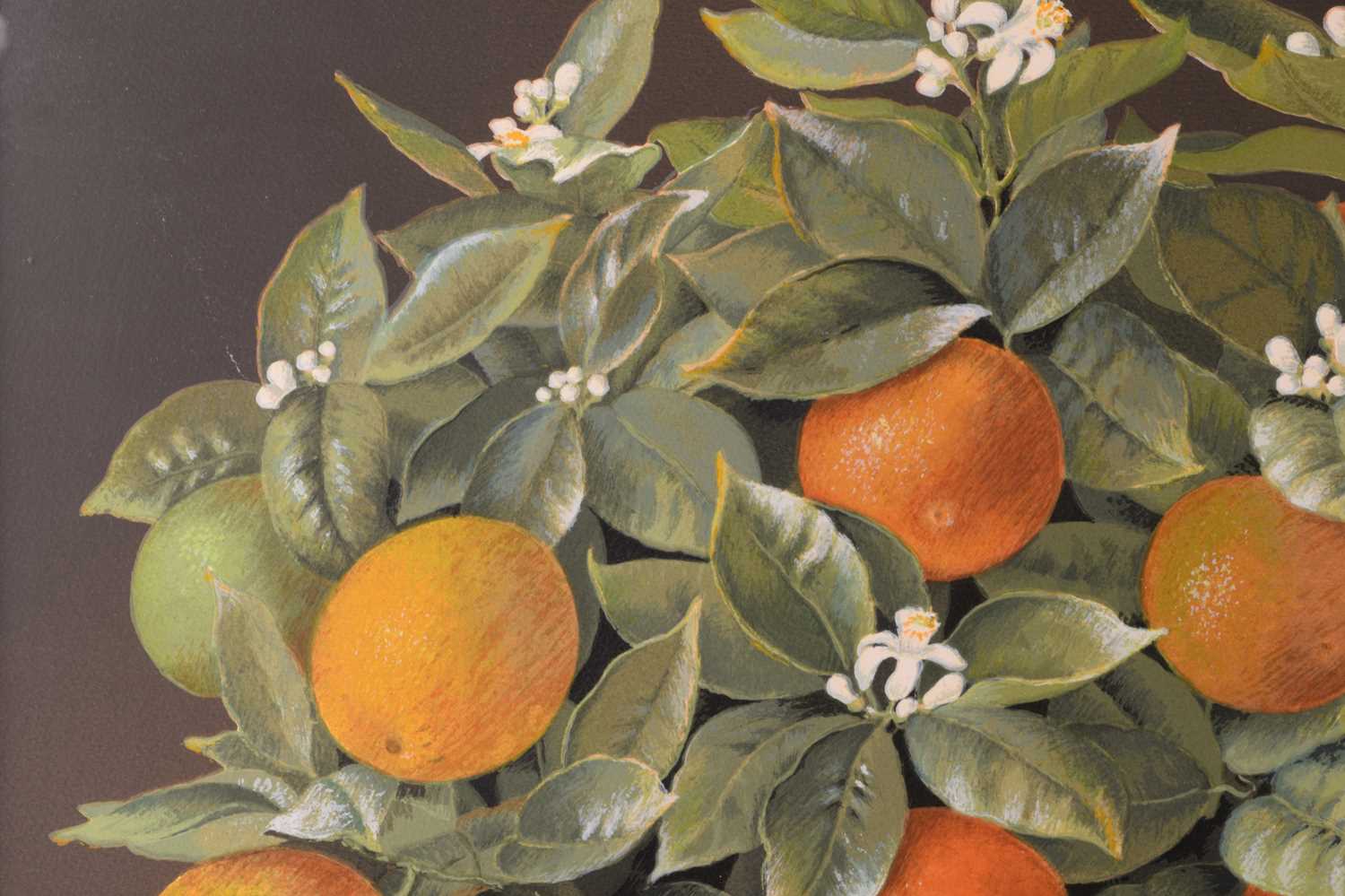 José Escofet (b.1930) Spanish, Lemon and Orange Trees, a pair of limited edition prints, signed and  - Image 14 of 20