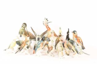A large collection of mid-century Karl Ens porcelain bird figures comprising a Hoopoe, a pair of