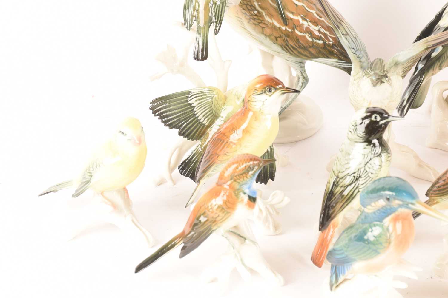 A large collection of mid-century Karl Ens porcelain bird figures comprising a Hoopoe, a pair of Blu - Image 3 of 26