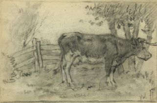 possibly Ype Wenning, Cow,