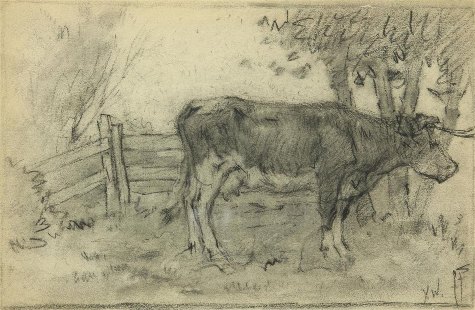 Cow, signed with initials lower right 'Y.W' lower right, possibly Ype Wenning. Drawing on paper 15 x