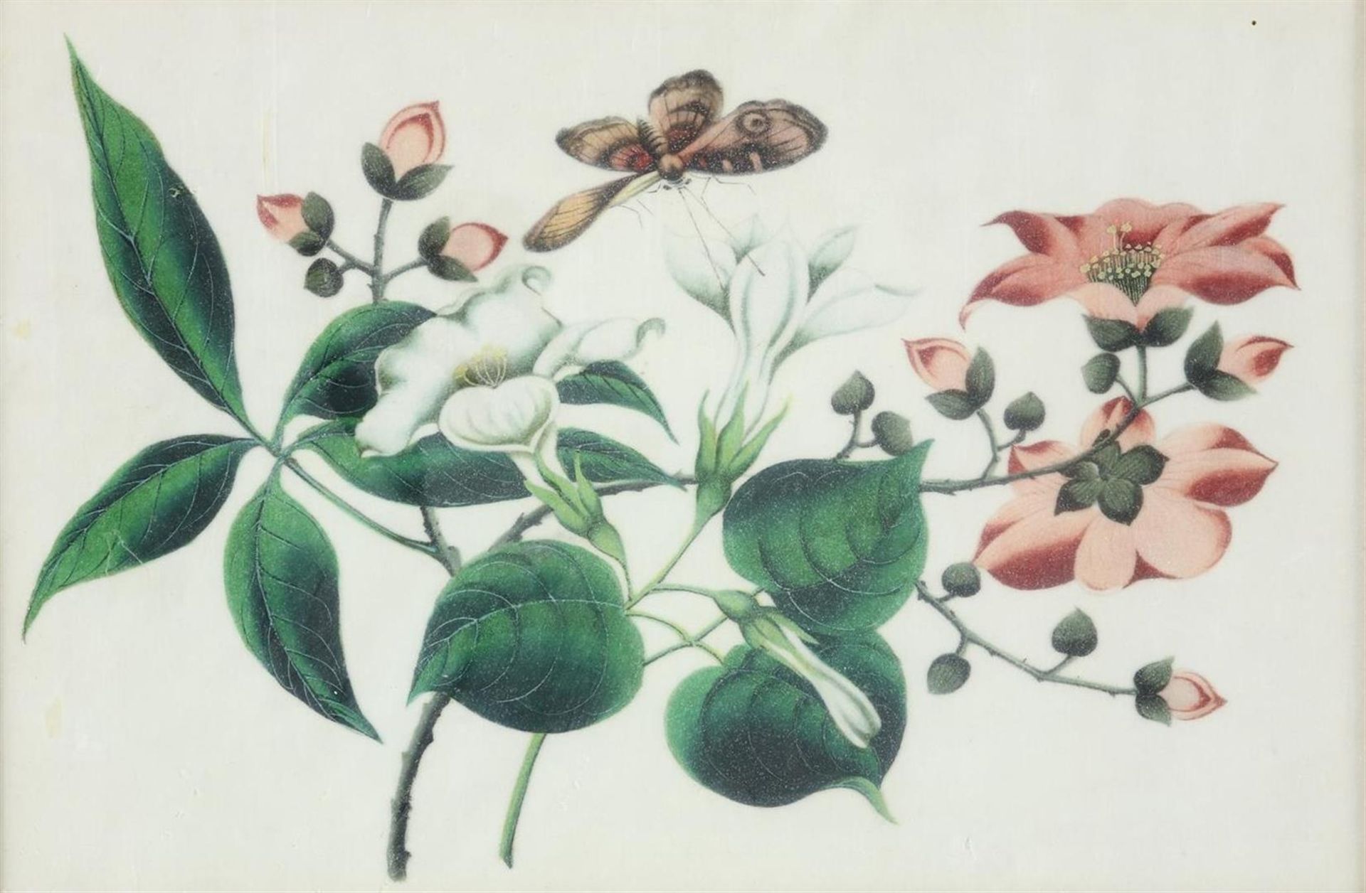 2 flowers, lithograph - Bild 3 aus 6