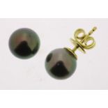 Yellow gold stud earrings set with Tahiti pearl, width 8.8 mm, SCOOT, grade 750/000, gross