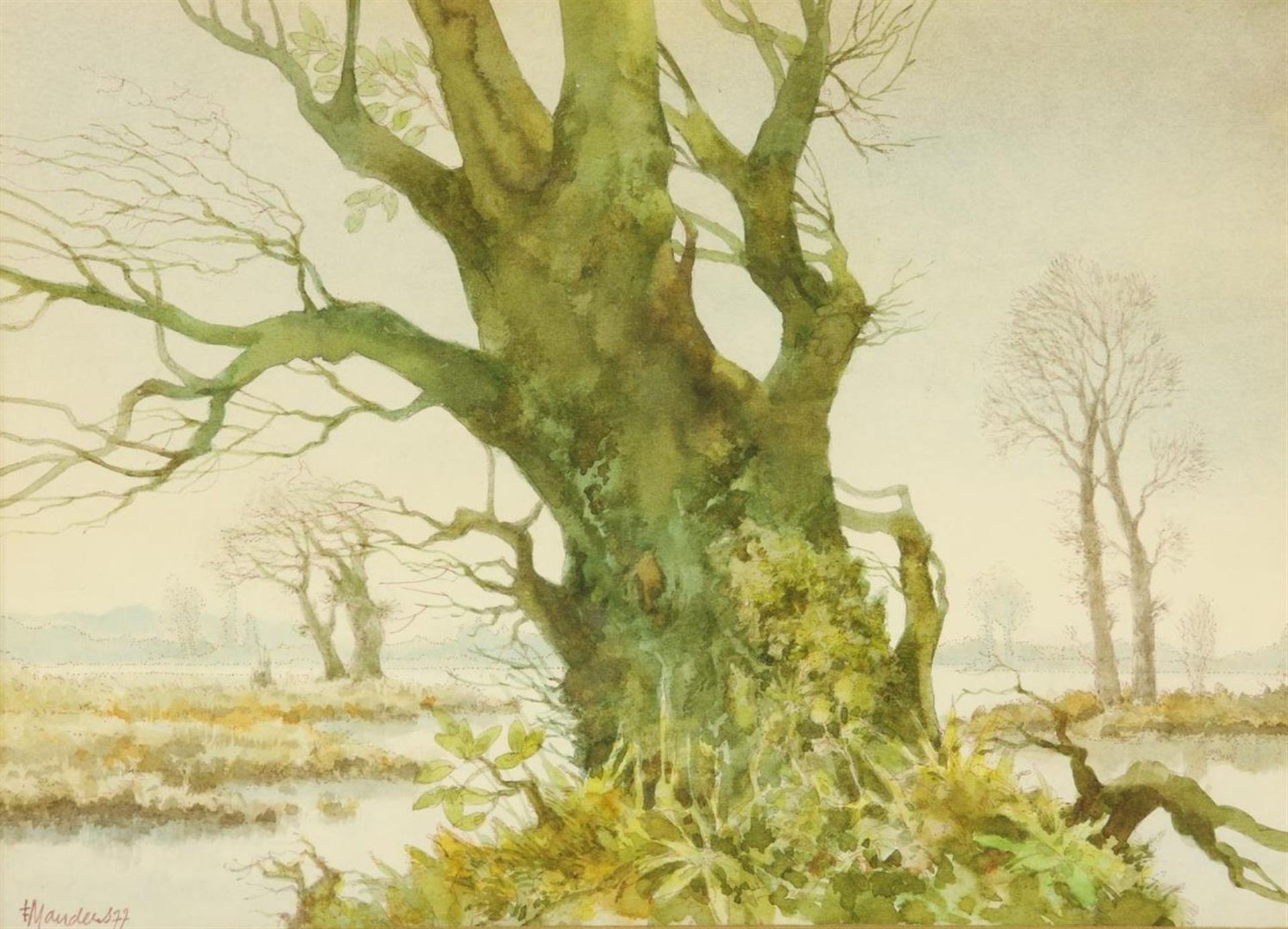 Frans Manders (1939-) Pollard willow in Dommelen, signed and dated '77 bottom left, watercolor on