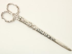 Silver pair of scissors in sheath