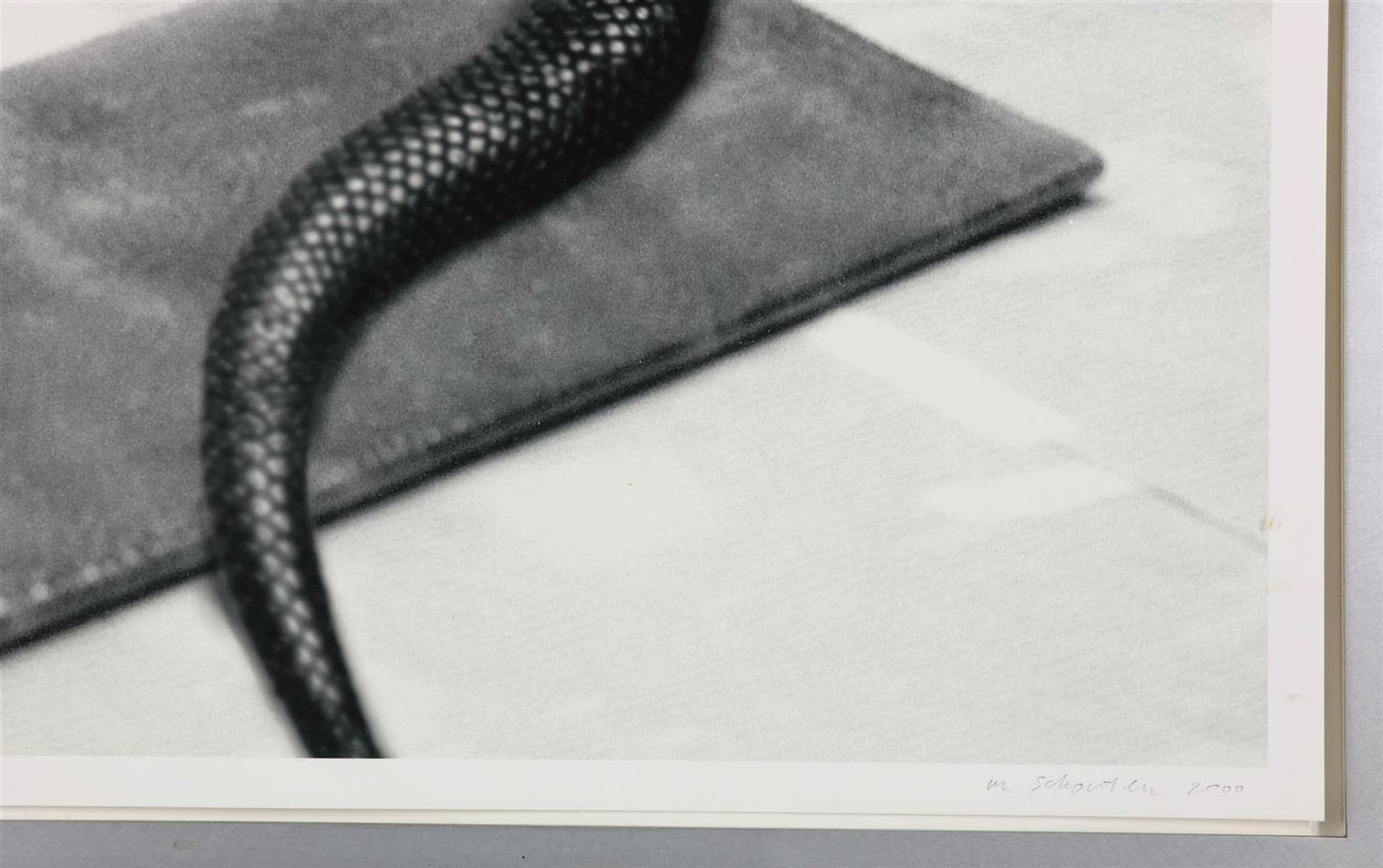 Marien Schouten (1956-) Snake, "Mirogard Magic", signed and dated 2000 bottom right, edition 7/40, - Image 3 of 4