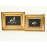 Two Italian pietra dura plaques of birds in gilded frames, 8 x 11.5 cm. and 6 x 9 cm. (2x).