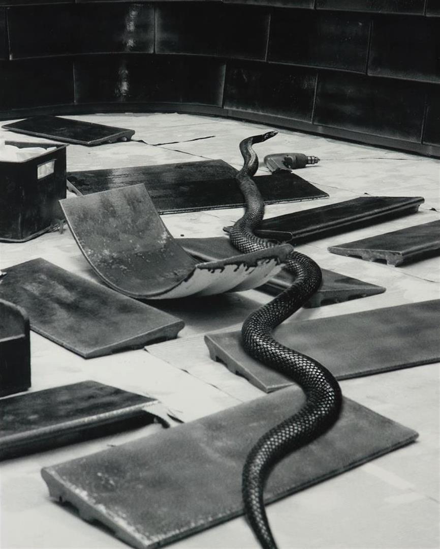 Marien Schouten (1956-) Snake, "Mirogard Magic", signed and dated 2000 bottom right, edition 7/40,