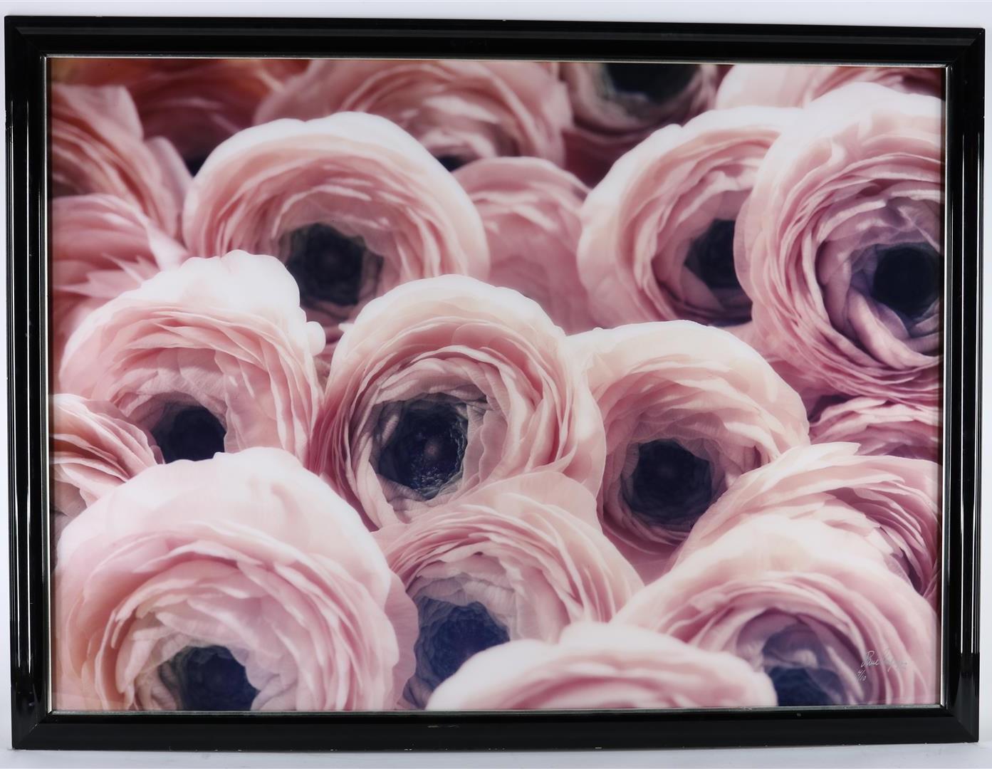 Paul Huf (1924-2002) Pink roses, photo on paper, signed, dated '92 and numbered 4/10. - Image 2 of 4