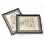 Lot with 2 etchings