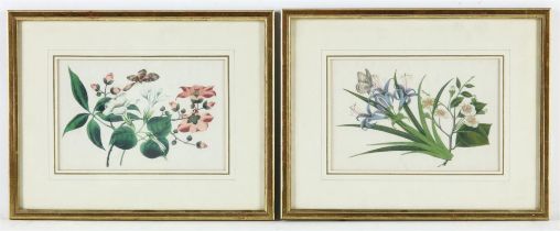 2 flowers, lithograph