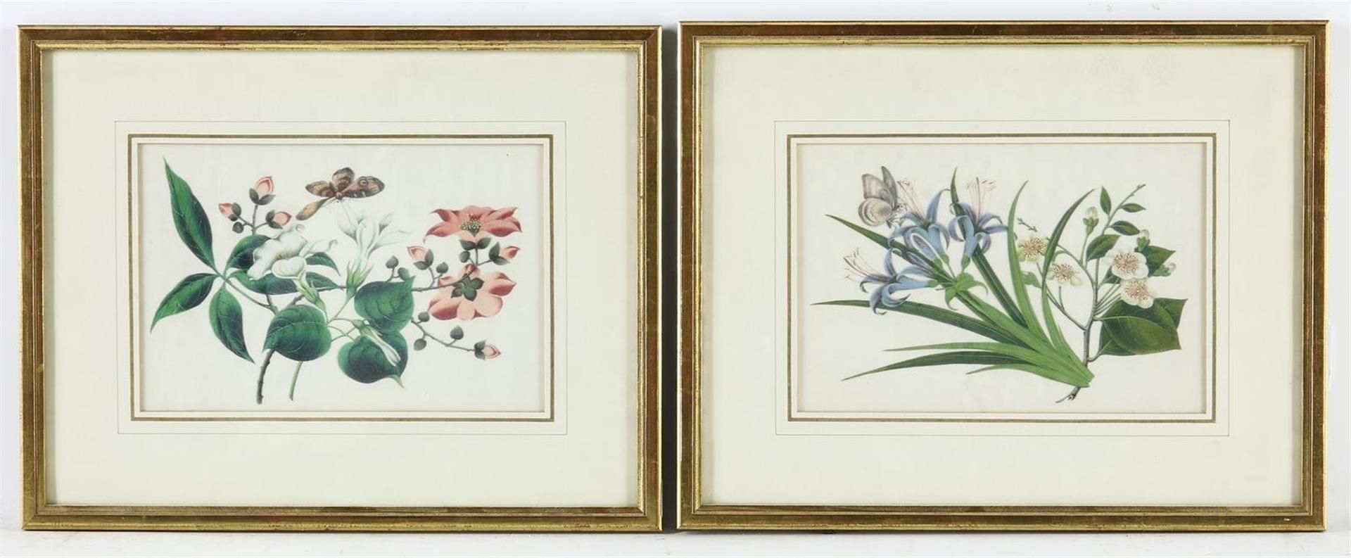 2 flowers, lithograph