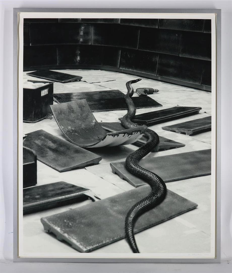 Marien Schouten (1956-) Snake, "Mirogard Magic", signed and dated 2000 bottom right, edition 7/40, - Image 2 of 4