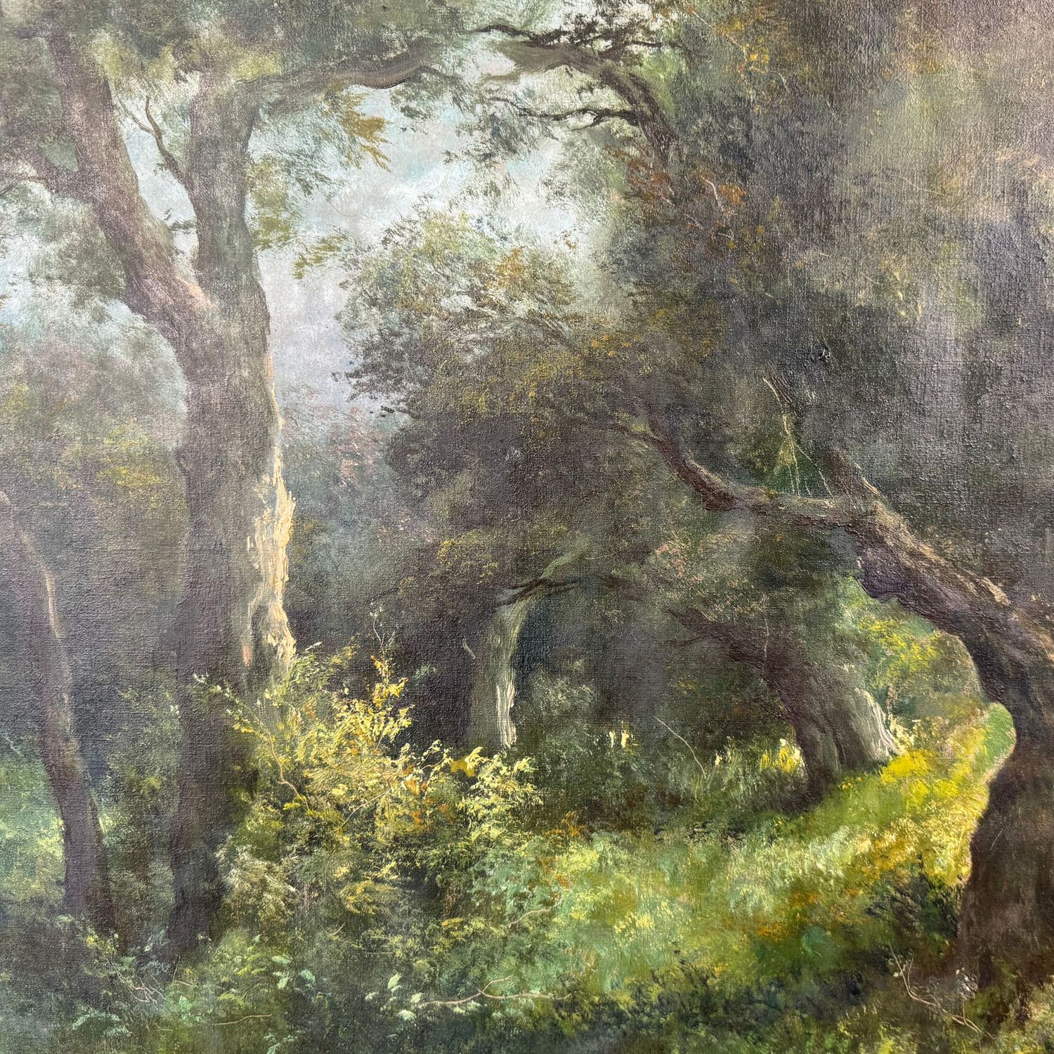 Wooded forest - F. Capuano (1854 - 1908) - Image 2 of 8