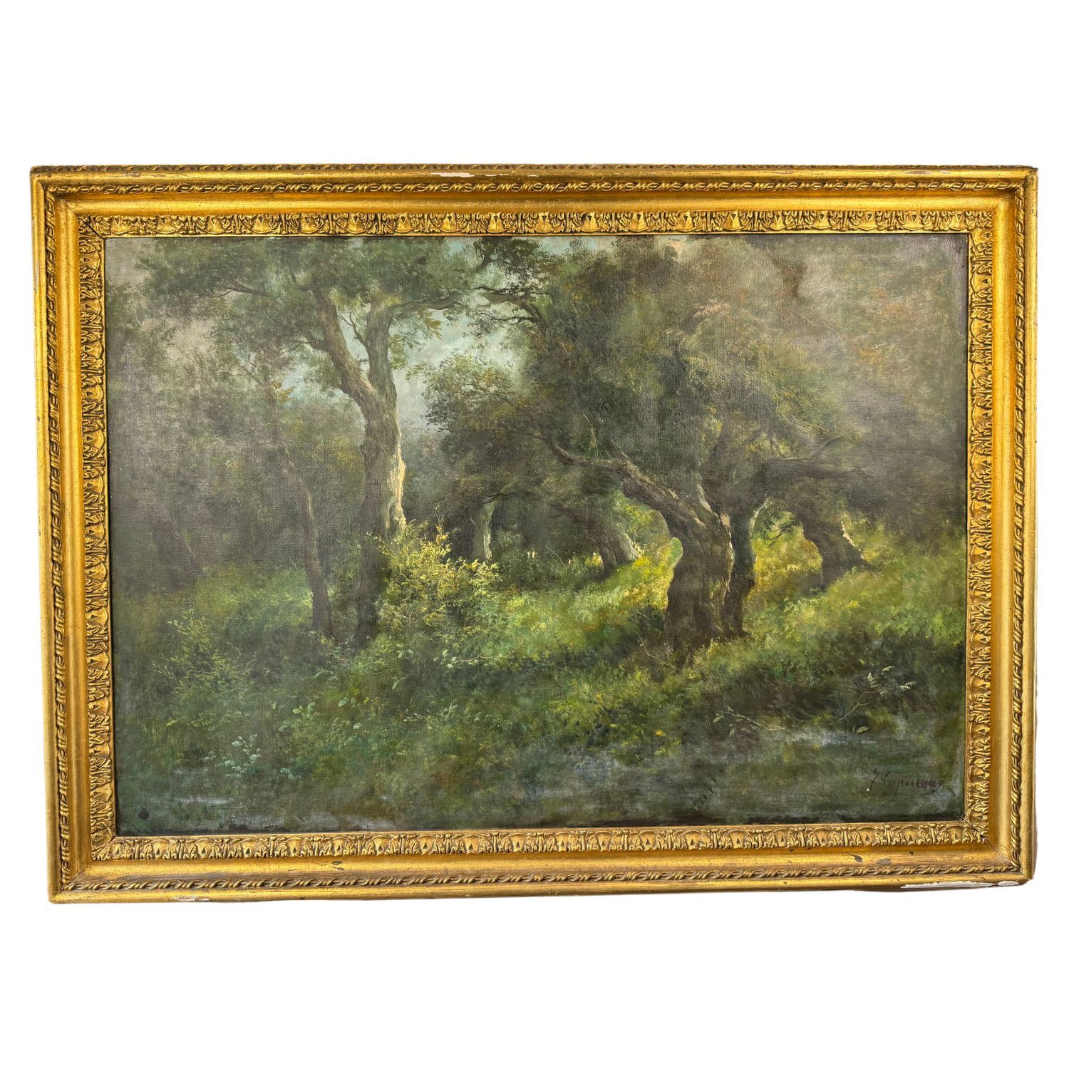 Wooded forest - F. Capuano (1854 - 1908)
