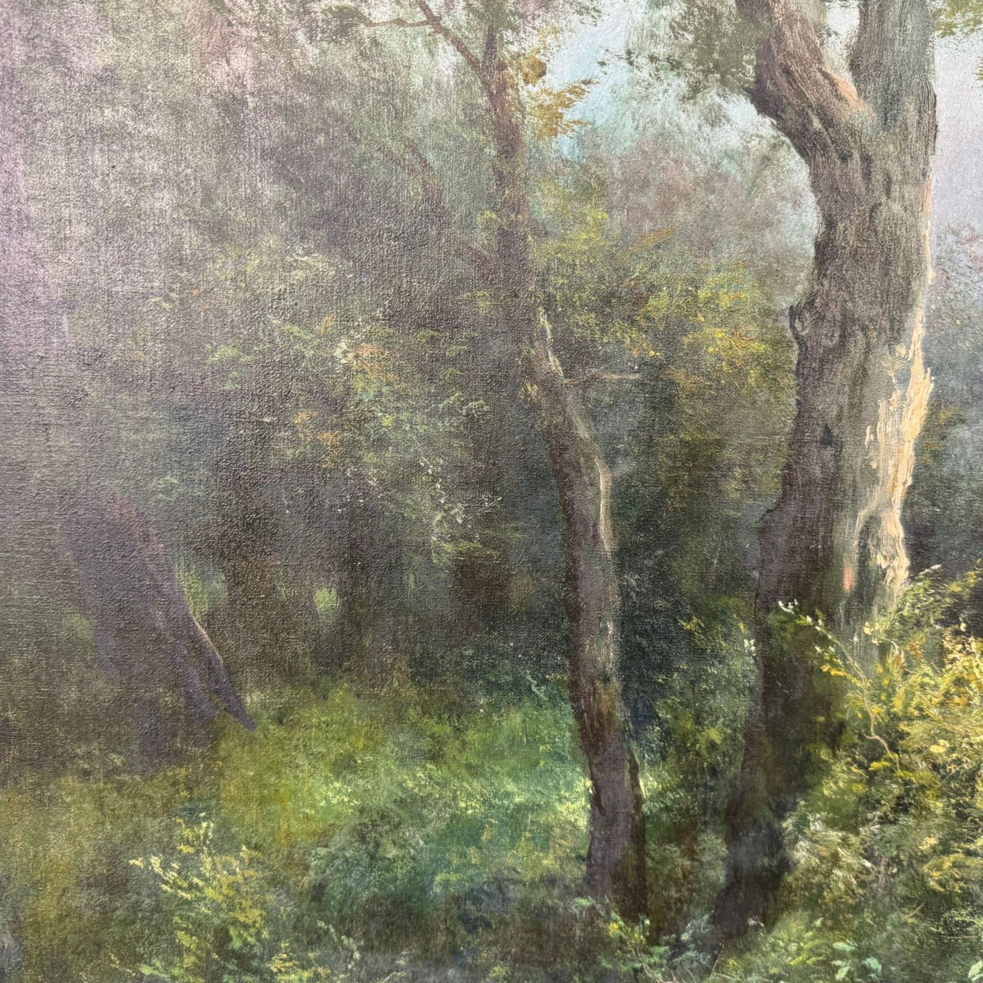 Wooded forest - F. Capuano (1854 - 1908) - Bild 5 aus 8