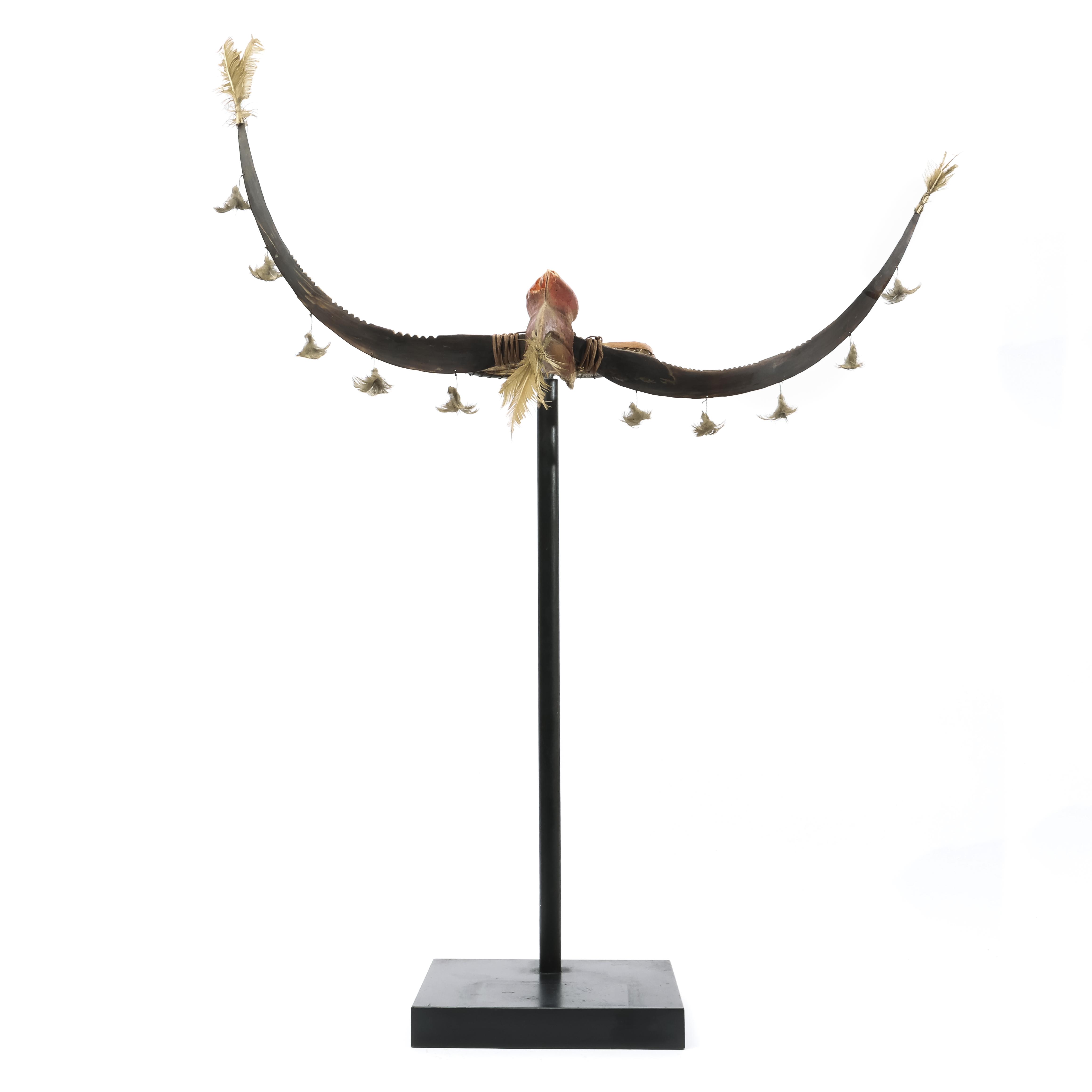 Philippines, Igorot, ceremonial headdress, consisting of a hornbill beak and casket mounted. - Image 2 of 3