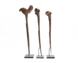P. N. Guinea, three north coast bone ceremonial daggers.