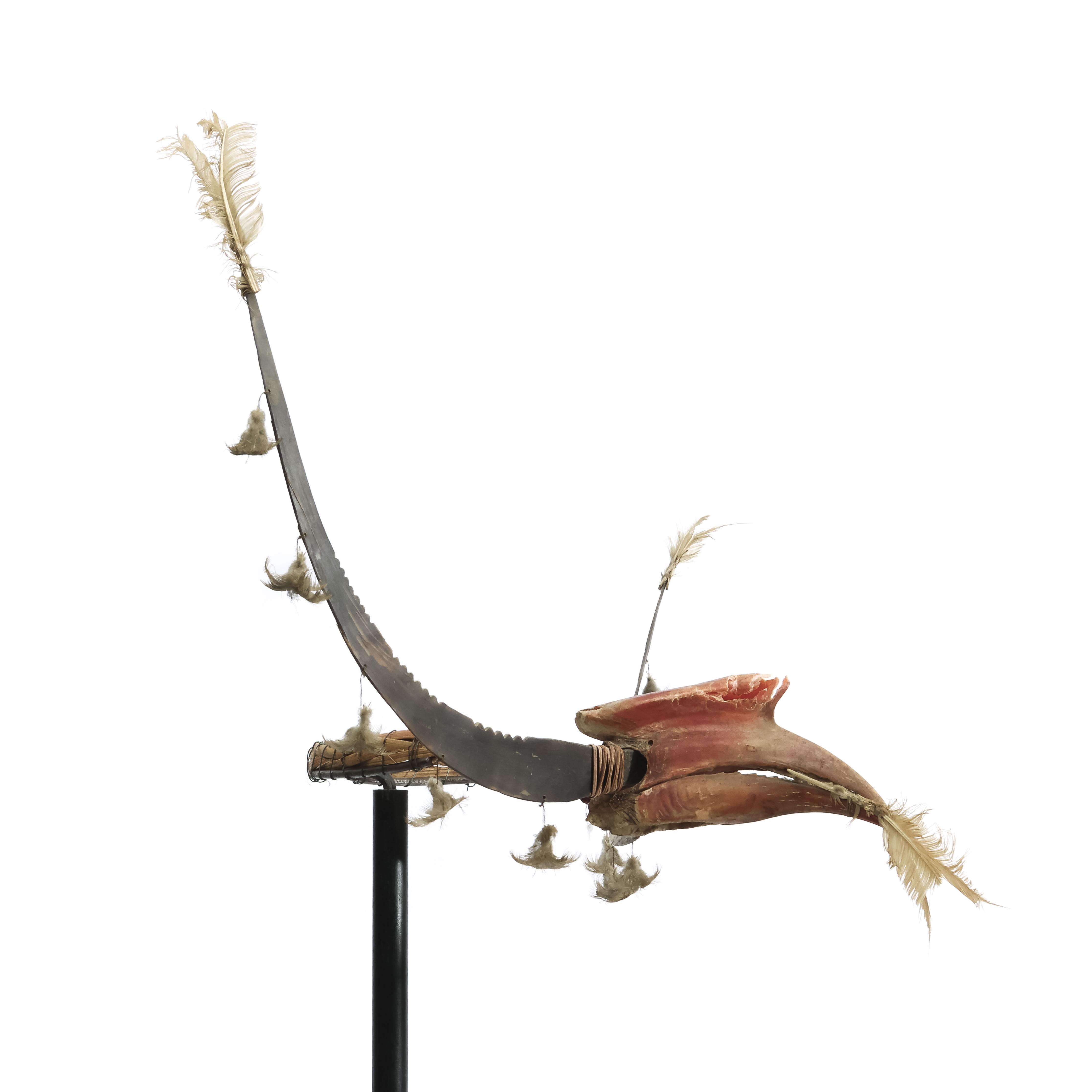 Philippines, Igorot, ceremonial headdress, consisting of a hornbill beak and casket mounted.