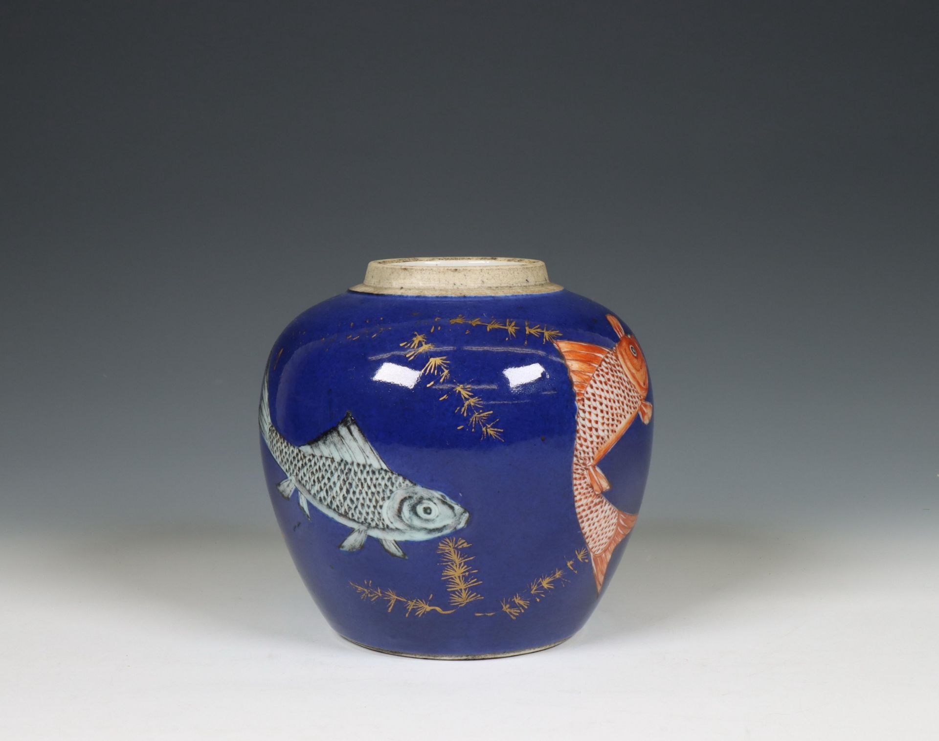 China, a powder-blue ground 'carp' jar, 19th century,