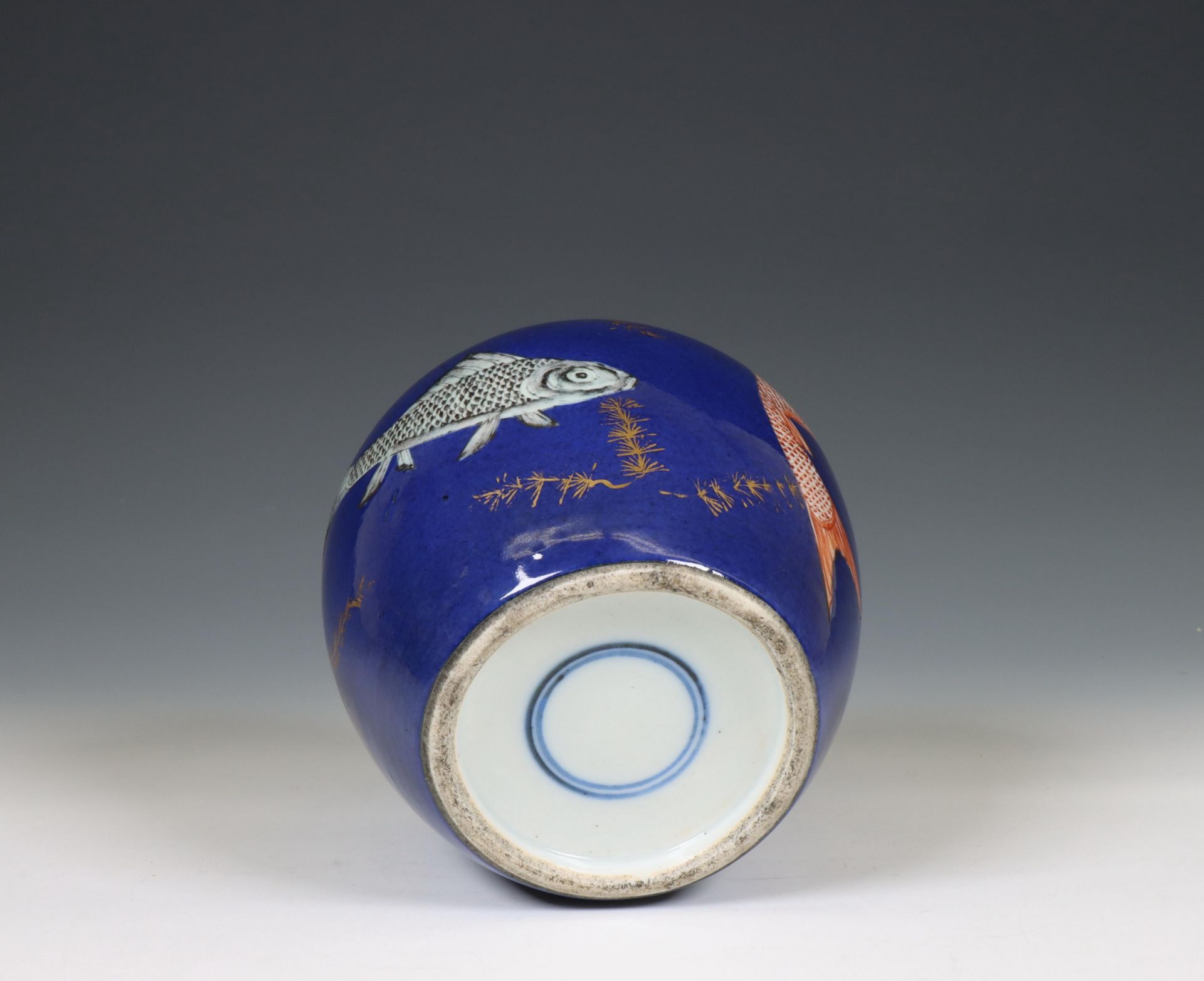 China, a powder-blue ground 'carp' jar, 19th century, - Image 6 of 7