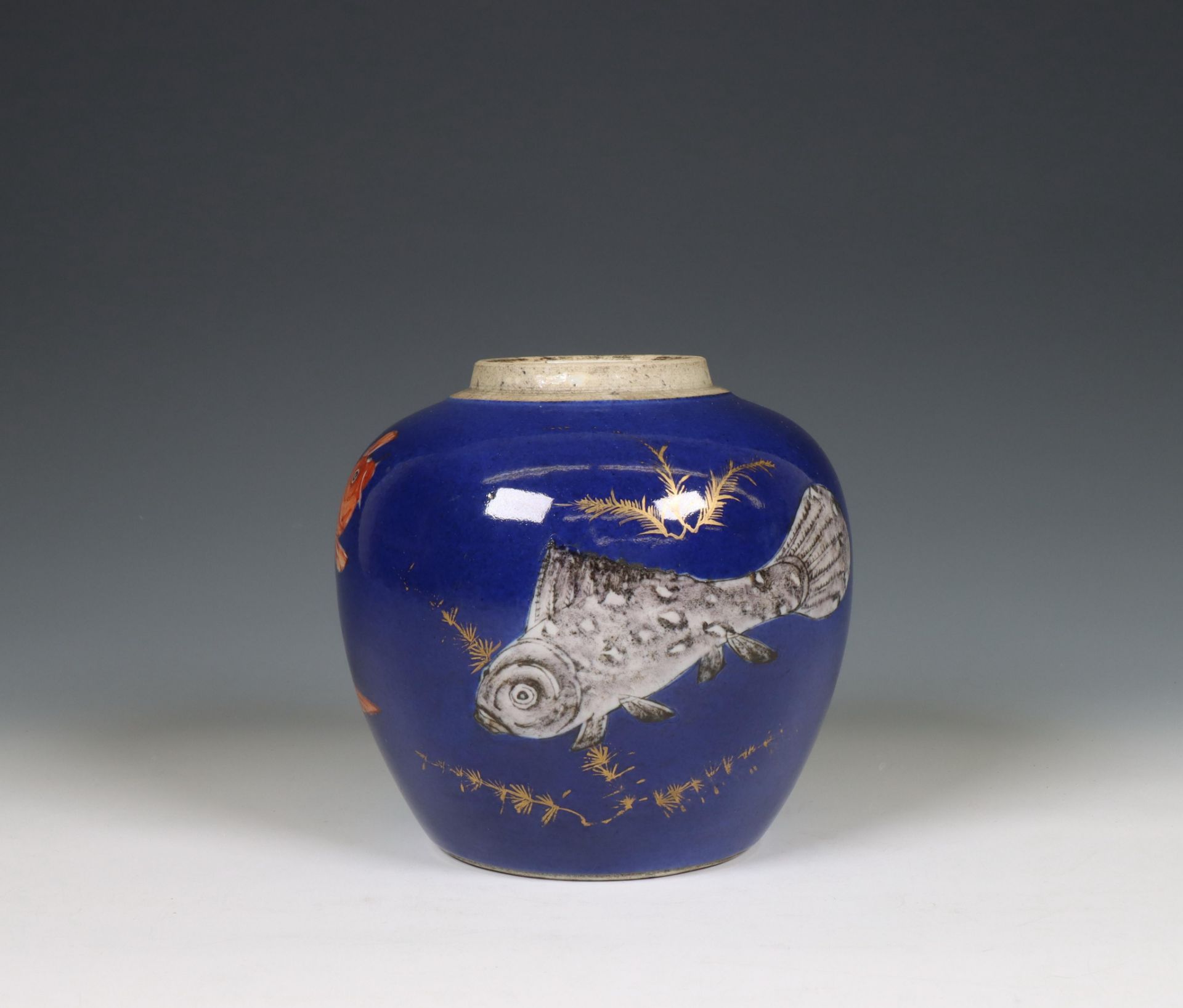 China, a powder-blue ground 'carp' jar, 19th century, - Image 2 of 7